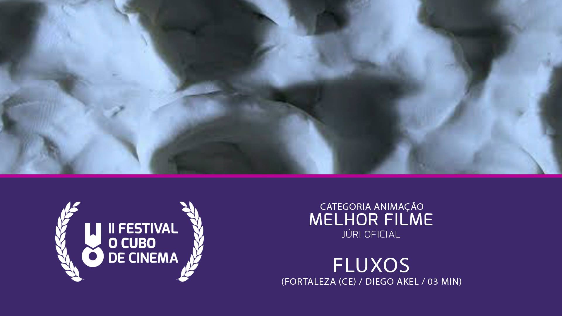 Fluxos — Melhor Filme (Júri Oficial) · Festival II 2015